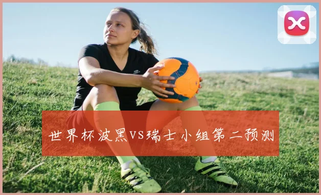 世界杯波黑vs瑞士小组第二预测