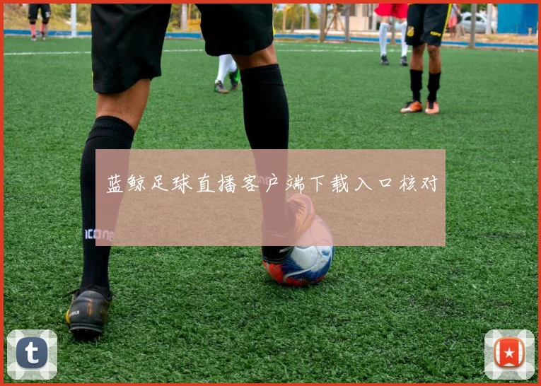 蓝鲸足球直播客户端下载入口核对