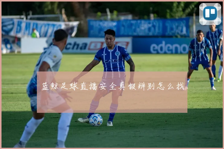 蓝鲸足球直播安全真假辨别怎么找