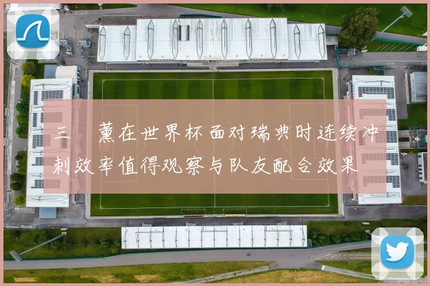 三笘薰在世界杯面对瑞典时连续冲刺效率值得观察与队友配合效果